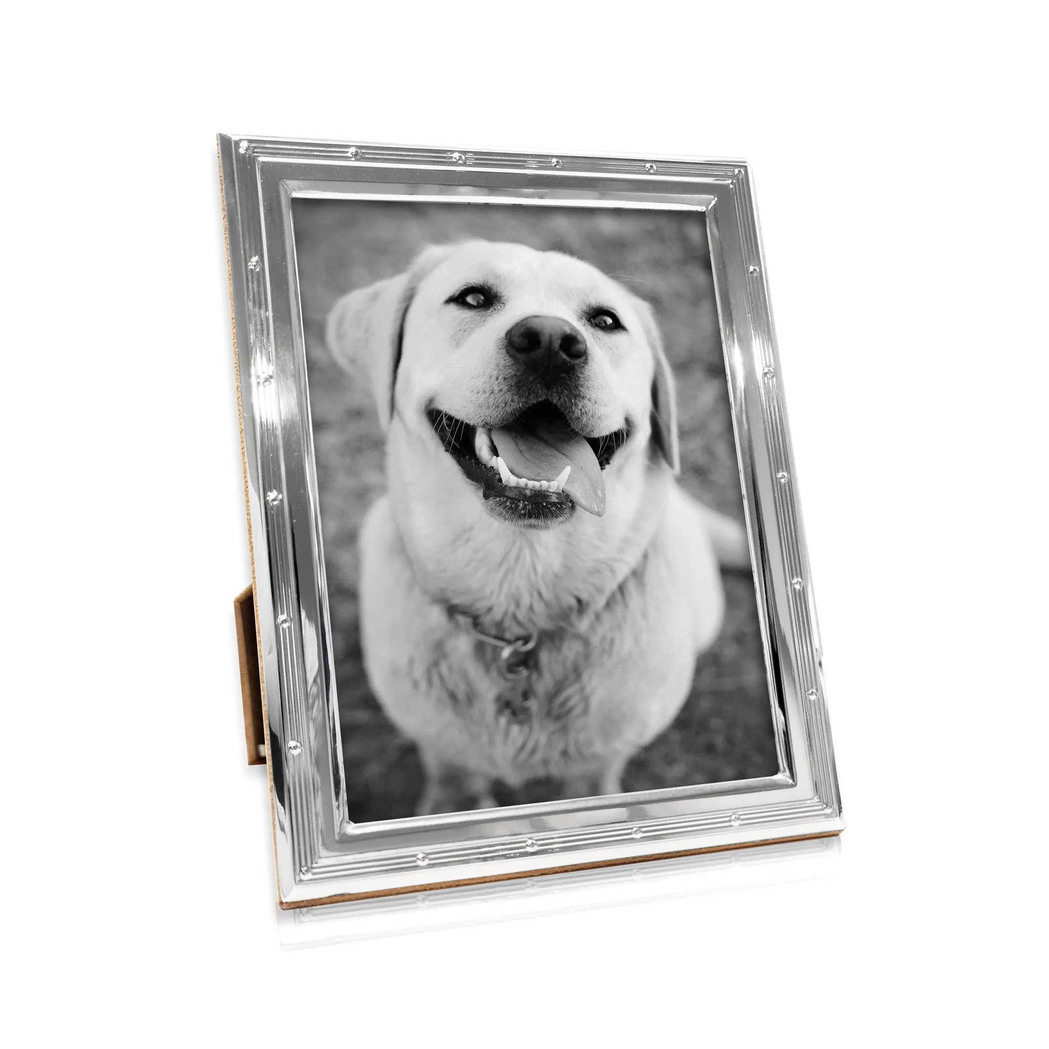 Beaded Pinstripe Silver Frame