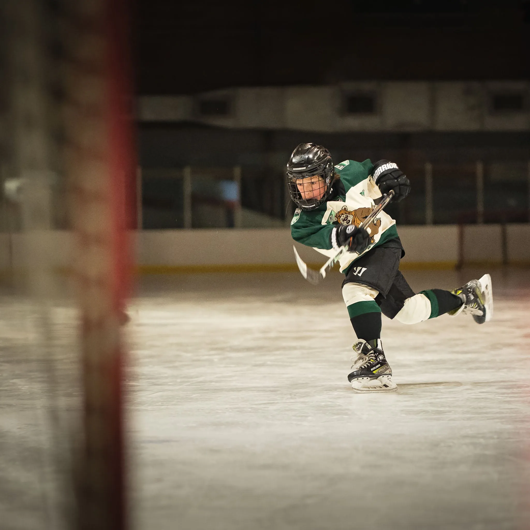 Ewoks Hockey Jersey
