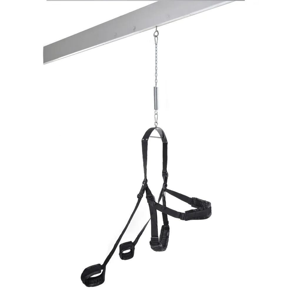 Fetish Fantasy Series Fantasy Sex Swing
