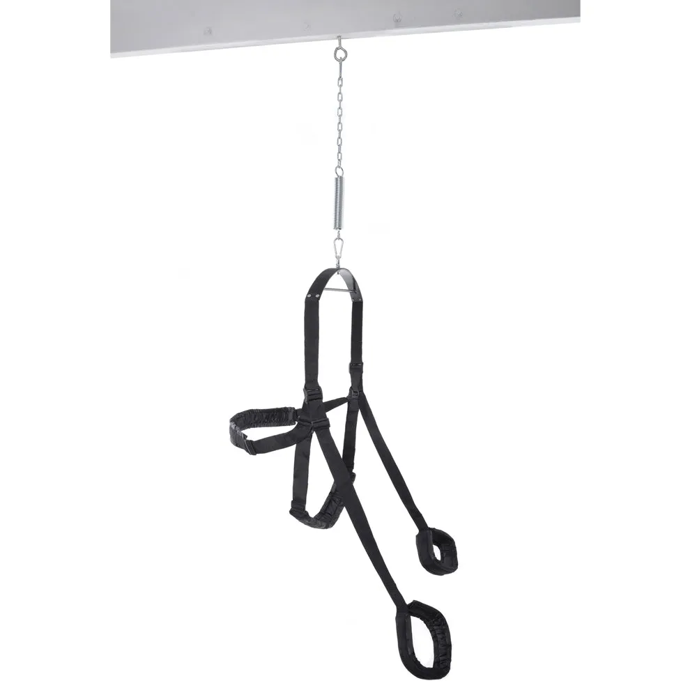 Fetish Fantasy Series Fantasy Sex Swing