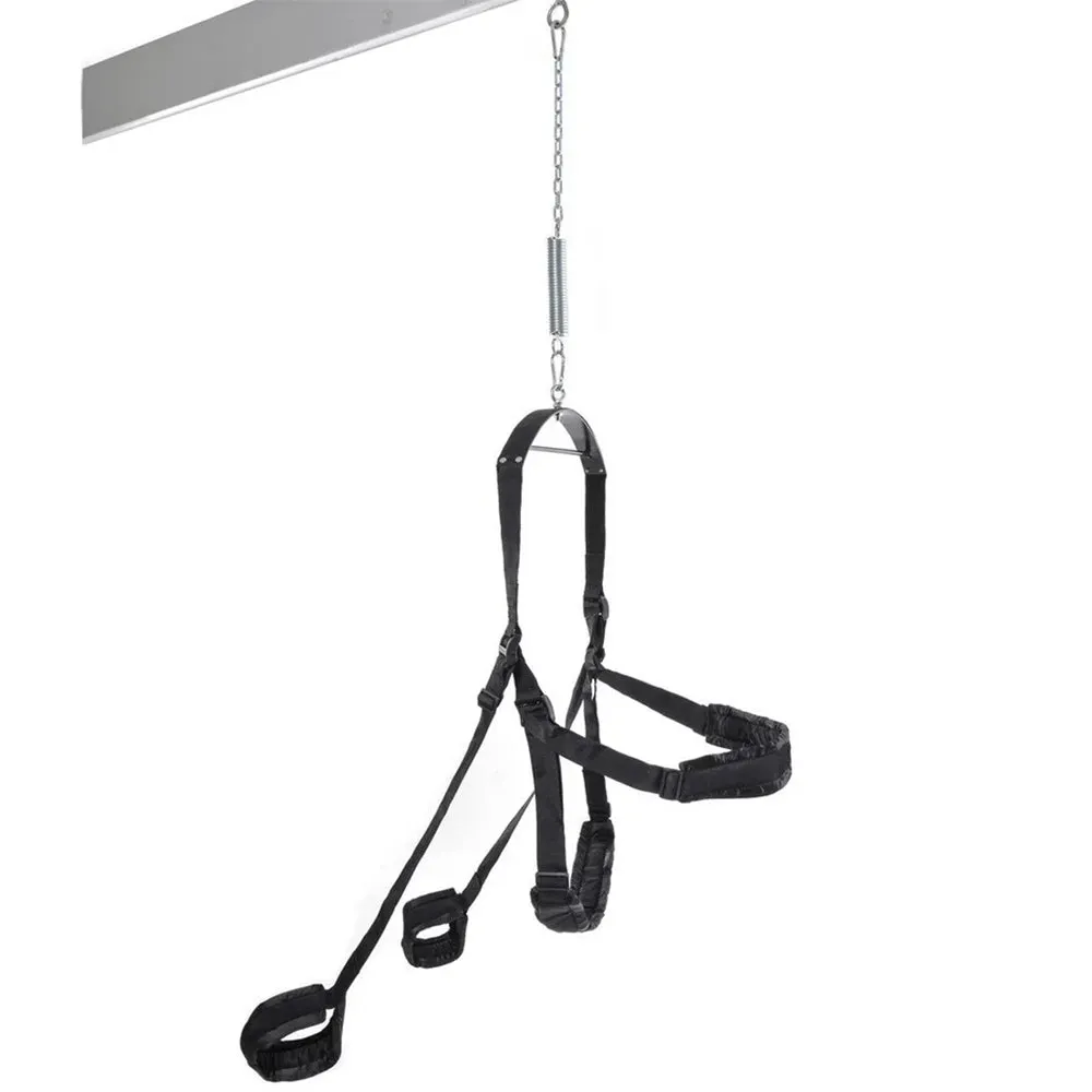 Fetish Fantasy Swing in Black