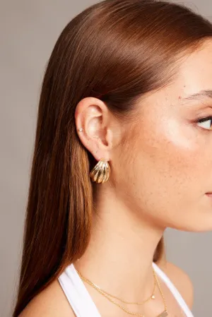 Gold Shell Earrings