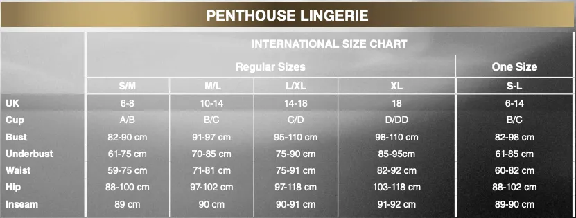 Penthouse - Sex Dealer Bodystocking Costume